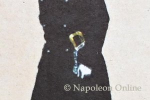 Infanterie 1855 - 4. Regiment Gumppenberg, Offizier