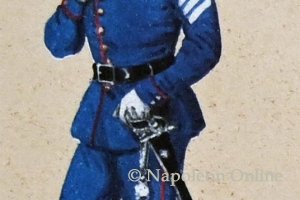 Infanterie 1868 - Leib-Regiment, Profos