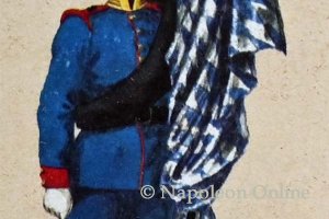 Landwehr 1868 - 8. Bataillon, Fahnenträger