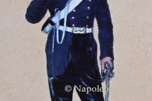 Artillerie 1855 - 1. und 2. Artillerie-Regiment, Fahrkanonier