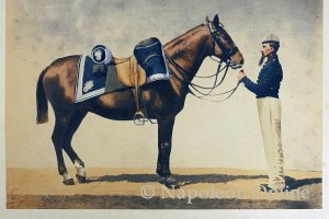 Kavallerie - Kürassiere (Kürassier in Stalluniform)