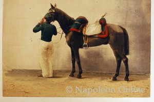 Kavallerie - Dragoner (Dragoner in Stalluniform)