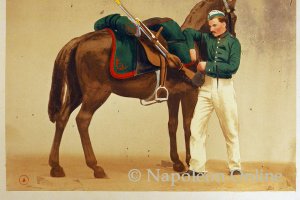 Kavallerie - Jäger zu Pferd (Jäger in Stalluniform)