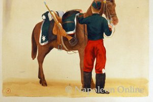 Kavallerie - Husaren (Husar in Stalluniform)
