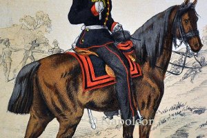 Infanterie - 2. Grenadier-Regiment Nr. 101 (Oberst)